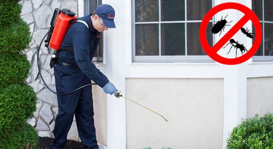 Bahçelerarası Hamam Böceği İlaçlama böcek ilaçlama ve haşere kontrolü — ilaclama-tr.com